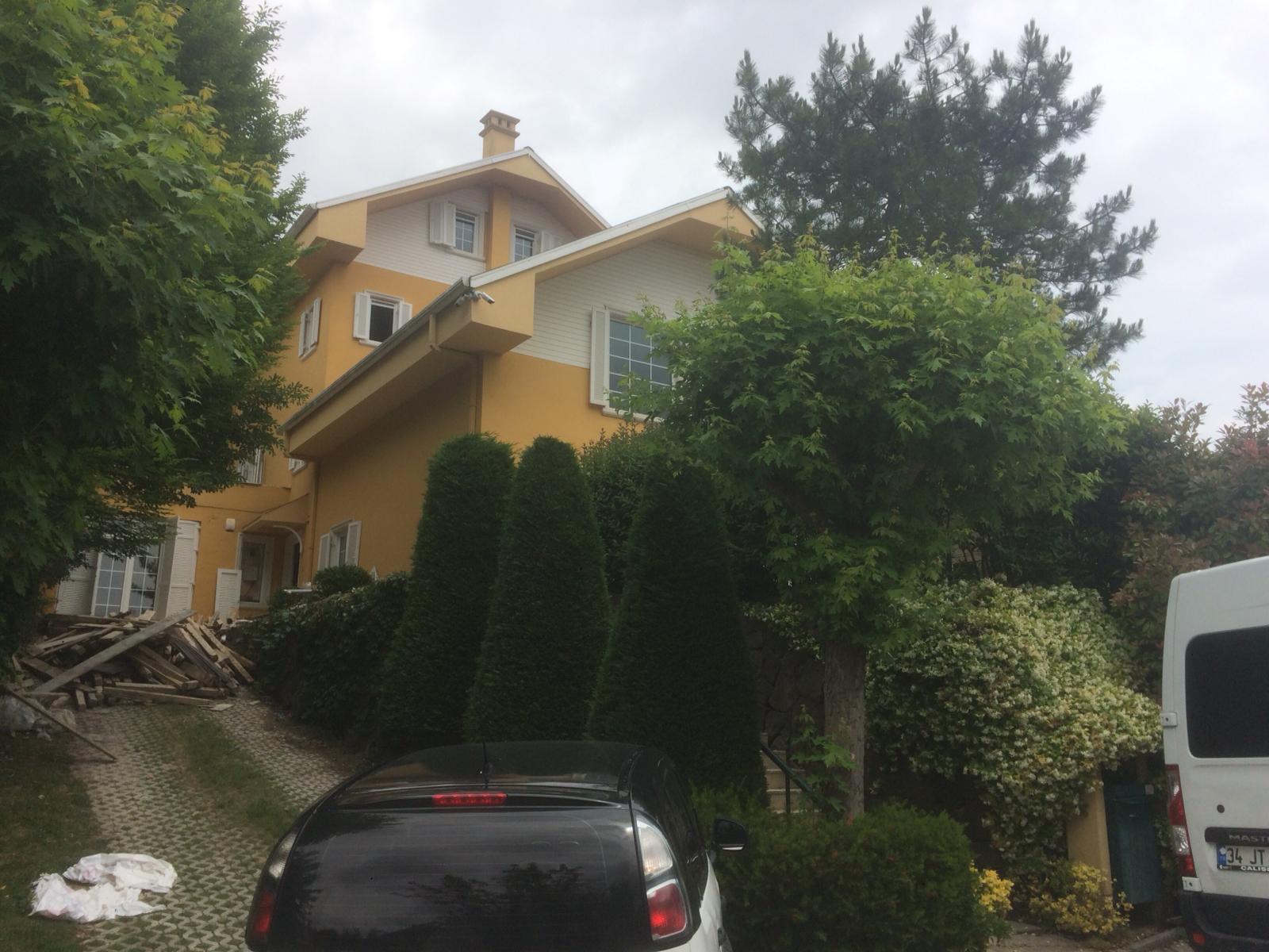 Mavi Projesi